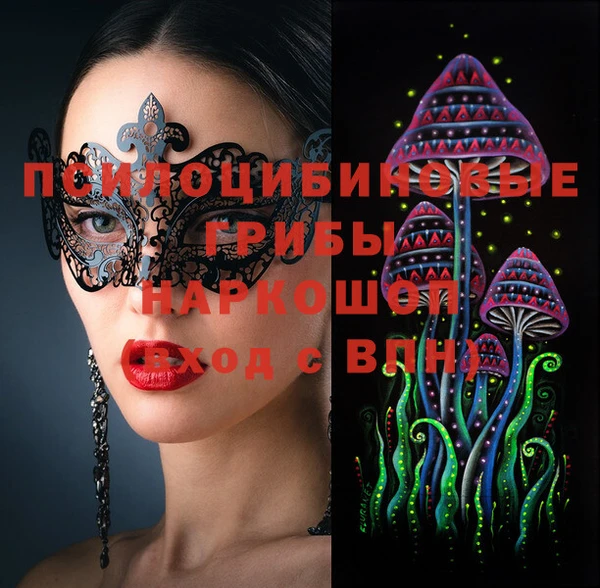 стафф Горно-Алтайск