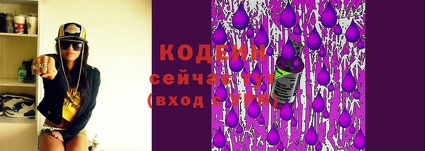 МДПВ Домодедово