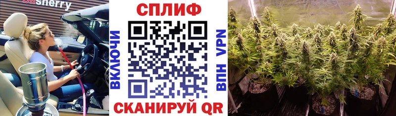 Канабис план  Галич 